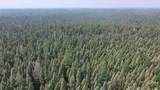 TBD 80 Acres Sunflower Road - Photo 18