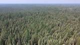 TBD 80 Acres Sunflower Road - Photo 19