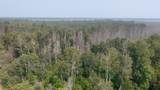 TBD 80 Acres Sunflower Road - Photo 20