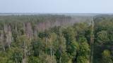 TBD 80 Acres Sunflower Road - Photo 21