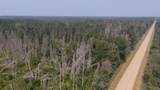 TBD 80 Acres Sunflower Road - Photo 28