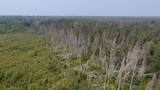 TBD 80 Acres Sunflower Road - Photo 29