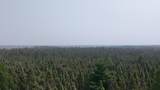 TBD 80 Acres Sunflower Road - Photo 3