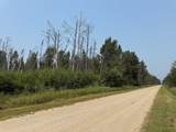 TBD 80 Acres Sunflower Road - Photo 31