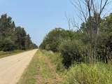TBD 80 Acres Sunflower Road - Photo 32