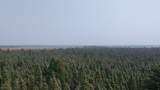 TBD 80 Acres Sunflower Road - Photo 4