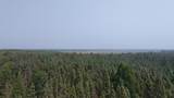 TBD 80 Acres Sunflower Road - Photo 5