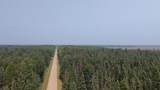 TBD 80 Acres Sunflower Road - Photo 6