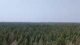 TBD 80 Acres Sunflower Road - Photo 7
