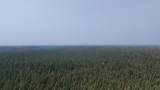 TBD 80 Acres Sunflower Road - Photo 9