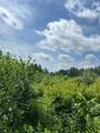 TBD Duncan Road - Photo 6