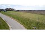 4119 Millie Meadow Drive - Photo 4