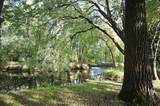 424 Driftwood Street - Photo 30