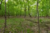 (Lot 9) TBD Rock Lake Road - Photo 11