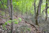 (Lot 9) TBD Rock Lake Road - Photo 15