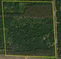 29031 French Road - Photo 4