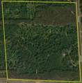 29031 French Road - Photo 6