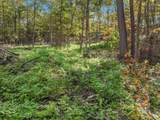 Lot 2 1240th Avenue - Photo 15