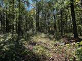TBD County Road 2 - Photo 6