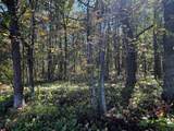 TBD County Road 2 - Photo 7