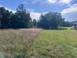 Lot 38 Meadow Green Road - Photo 7