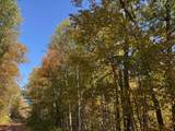 TBD County Road 12 - Photo 1
