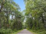 Parcel F Horseshoe Lake Rd - Photo 17