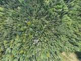 Parcel F Horseshoe Lake Rd - Photo 26