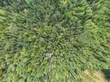 Parcel F Horseshoe Lake Rd - Photo 28