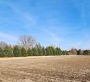 Lot 7 706th St - Photo 4