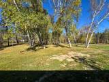 3545 White Birch Avenue - Photo 36
