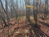 xx Deeryard Lake Rd - Photo 8
