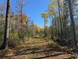 TBD French Rd. - Photo 58