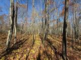 TBD French Rd. - Photo 80