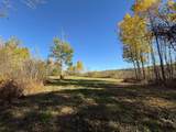 TBD French Rd. - Photo 87