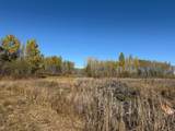 TBD French Rd. - Photo 98