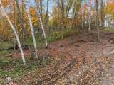 TBD Lot 2 1270th Avenue - Photo 20