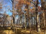 TBD Marl Road - Photo 14