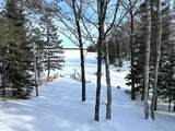 21300 Shallow Lake Road - Photo 49