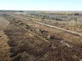 TBD 380th Street - Photo 10