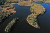 26810 Hart Lake Road - Photo 12