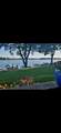 4743 Island View Drive - Photo 38