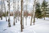 2809 Snowy Owl Circle - Photo 38