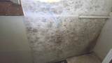 207 Richard Avenue - Photo 17