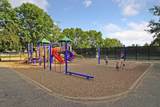 3932 49th Street - Photo 57