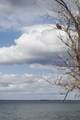 29823 Highland Loop - Photo 57