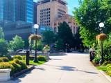 350 Saint Peter Street - Photo 14