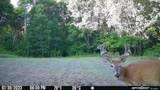 38XXX 385th Street - Photo 12