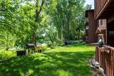 4830 Babcock Trail - Photo 4