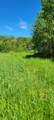 1634 County Road 117 - Photo 30